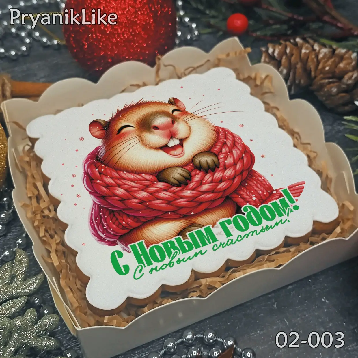 Новый Год 2025 (10-10)